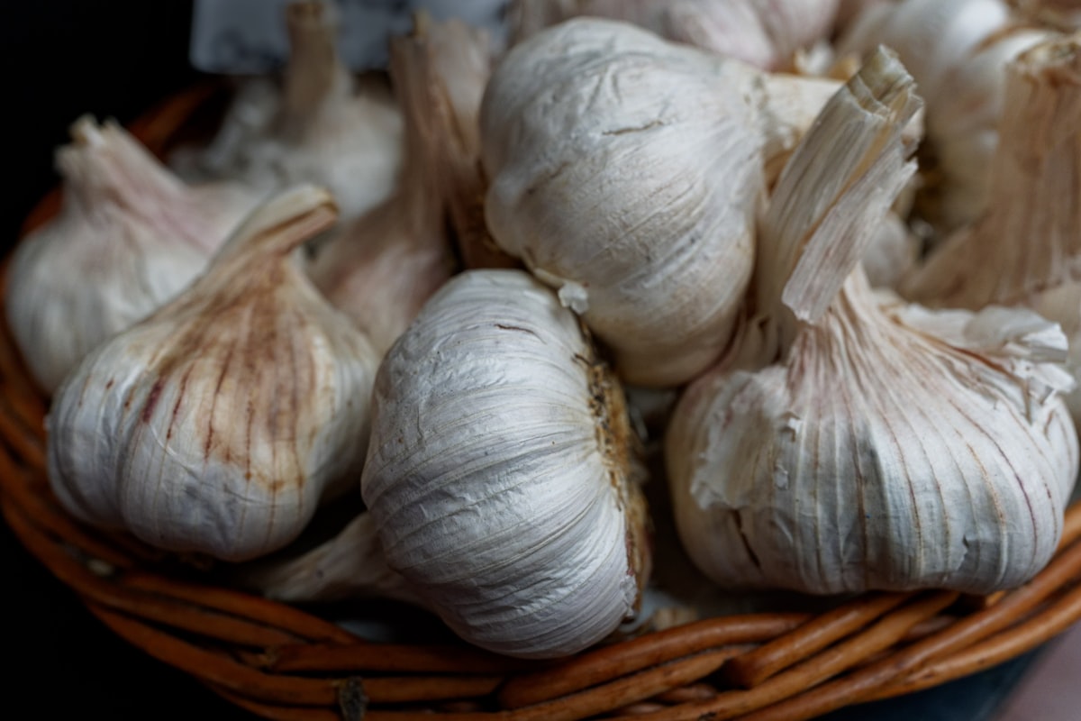 Olio d'aglio infuso